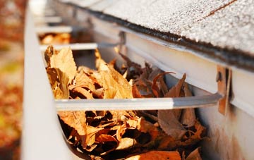 Top Valley gutter cleaning companies